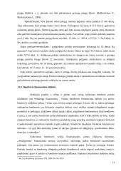 Apyvartinio kapitalas ir jo valdymas  13 puslapis