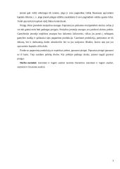 Apyvartinio kapitalas ir jo valdymas  3 puslapis