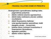 Finansų valdymo esmė ir principai 12 puslapis