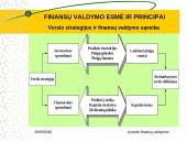 Finansų valdymo esmė ir principai 14 puslapis