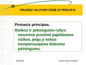 Finansų valdymo esmė ir principai 17 puslapis