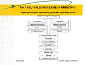 Finansų valdymo esmė ir principai 7 puslapis