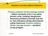 Finansų valdymo esmė ir principai 8 puslapis