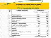 Finansinis prognozavimas 4 puslapis