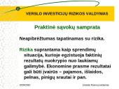 Verslo investicijų rizikos valdymas 2 puslapis