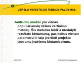Verslo investicijų rizikos valdymas 11 puslapis