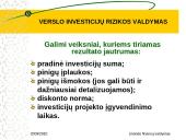 Verslo investicijų rizikos valdymas 12 puslapis