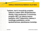 Verslo investicijų rizikos valdymas 13 puslapis
