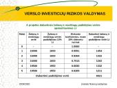Verslo investicijų rizikos valdymas 14 puslapis