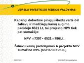 Verslo investicijų rizikos valdymas 15 puslapis