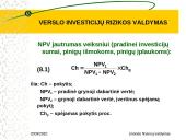 Verslo investicijų rizikos valdymas 16 puslapis