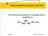 Verslo investicijų rizikos valdymas 17 puslapis