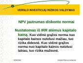Verslo investicijų rizikos valdymas 18 puslapis