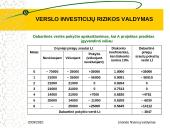 Verslo investicijų rizikos valdymas 19 puslapis