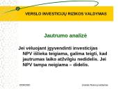 Verslo investicijų rizikos valdymas 20 puslapis