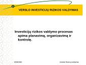 Verslo investicijų rizikos valdymas 3 puslapis