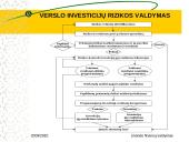 Verslo investicijų rizikos valdymas 4 puslapis