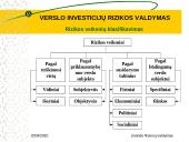 Verslo investicijų rizikos valdymas 5 puslapis
