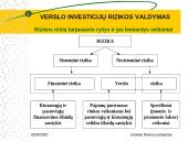 Verslo investicijų rizikos valdymas 6 puslapis