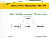 Verslo investicijų rizikos valdymas 7 puslapis