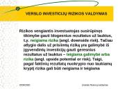Verslo investicijų rizikos valdymas 8 puslapis