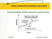Verslo investicijų rizikos valdymas 9 puslapis