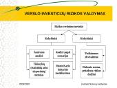 Verslo investicijų rizikos valdymas 10 puslapis