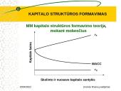 Kapitalo struktūros formavimas 11 puslapis