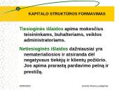 Kapitalo struktūros formavimas 15 puslapis