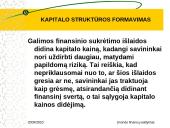 Kapitalo struktūros formavimas 16 puslapis