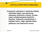 Kapitalo struktūros formavimas 17 puslapis