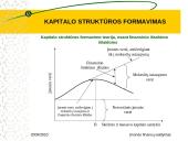 Kapitalo struktūros formavimas 18 puslapis