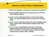 Kapitalo struktūros formavimas 19 puslapis