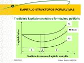 Kapitalo struktūros formavimas 20 puslapis