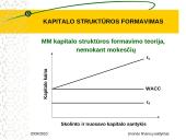 Kapitalo struktūros formavimas 8 puslapis