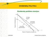 Dividendų politika skaidrės 13 puslapis