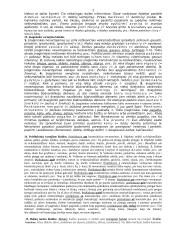 Kalbos kultūra teorija egzaminui 3 puslapis