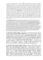 Kalbos kultūra teorija egzaminui 4 puslapis