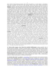 Kalbos kultūra teorija egzaminui 7 puslapis