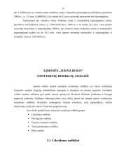 UAB „Jukna ir Ko“ finansinė veikla ir jos rezultatai 12 puslapis