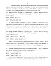 UAB „Jukna ir Ko“ finansinė veikla ir jos rezultatai 13 puslapis