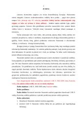 UAB X finansinė veikla 2 puslapis