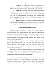 UAB X finansinė veikla 13 puslapis