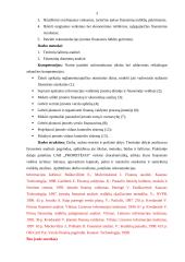 UAB X finansinė veikla 3 puslapis