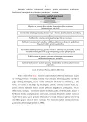 UAB X finansinė veikla 5 puslapis