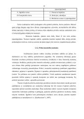 UAB X finansinė veikla 10 puslapis