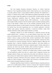 Biudžetavimas įmonėje ir strateginis planavimas  2 puslapis