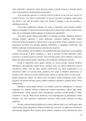 Biudžetavimas įmonėje ir strateginis planavimas  12 puslapis