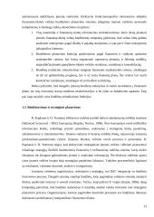 Biudžetavimas įmonėje ir strateginis planavimas  13 puslapis