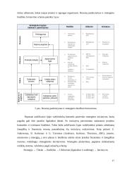 Biudžetavimas įmonėje ir strateginis planavimas  17 puslapis